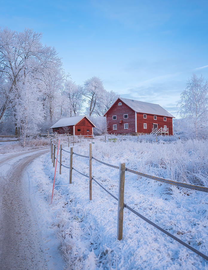 Scandinavian Architecture Photograph by Christian Lindsten - Fine Art ...