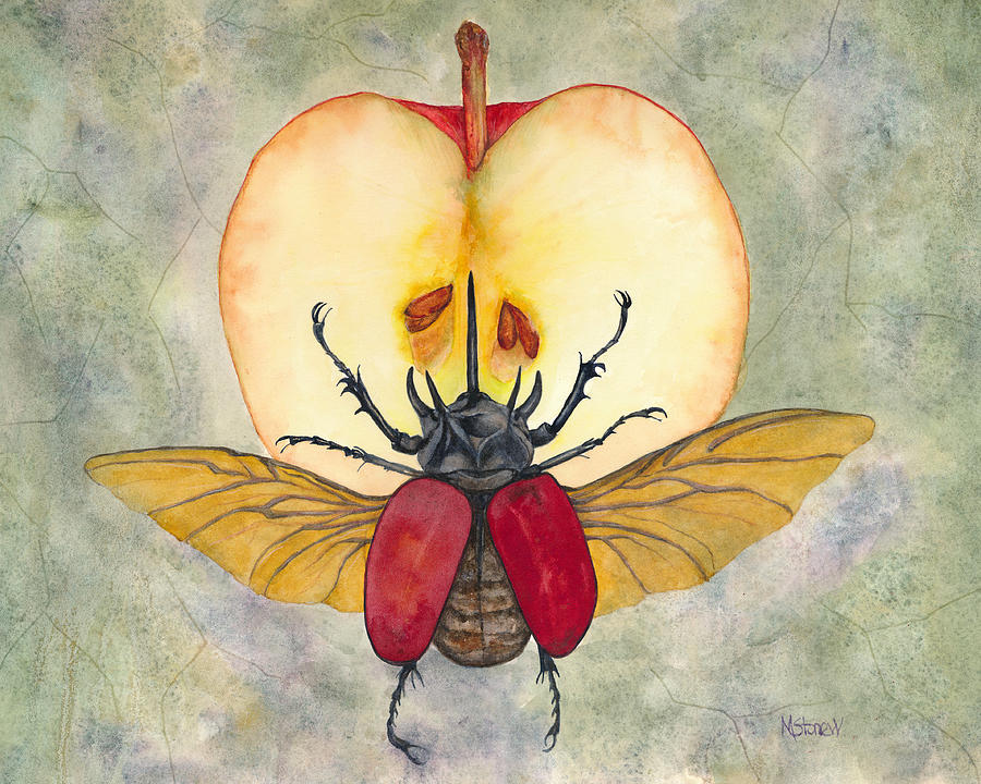 Beetle Painting - Beetle on Apple by Marie Stone-van Vuuren
