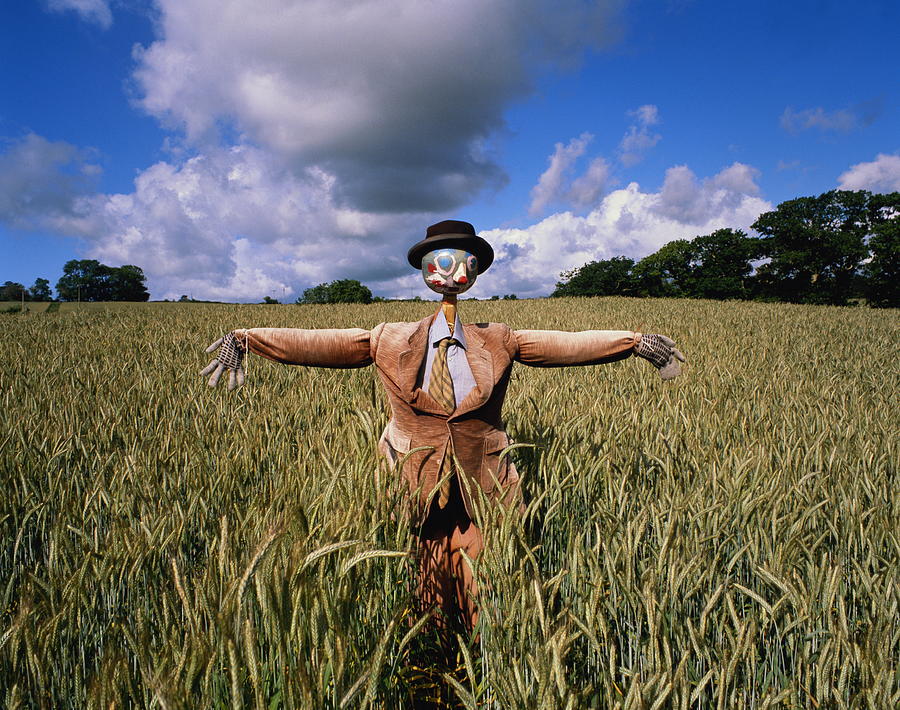 Hat Photograph - Scarecrow In Jacket And Tie Standing In by Peter Cade