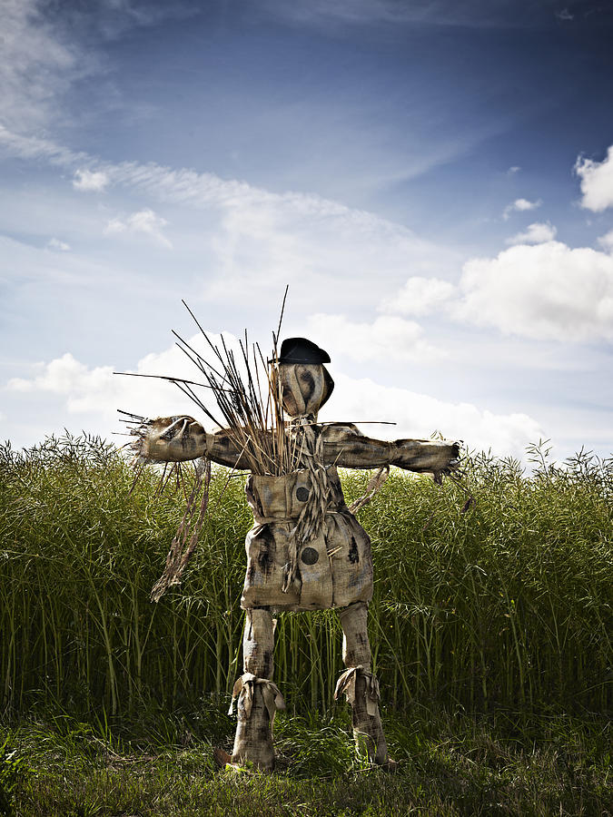 Scarecrow Standing In Grassy Field Photograph by Niels Busch