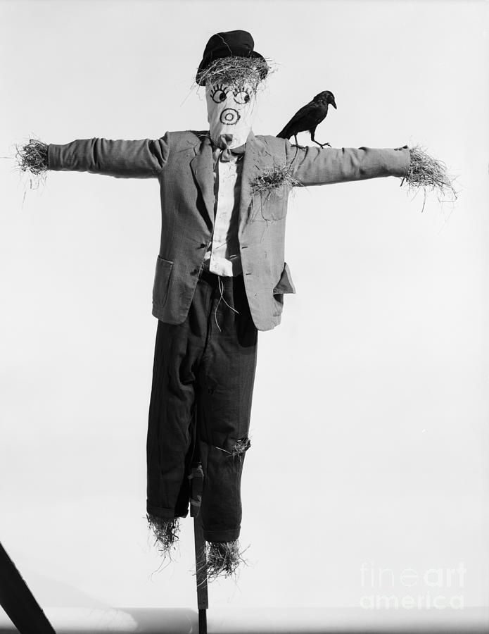 Scarecrow With Crow On His Shoulder Photograph by Bettmann