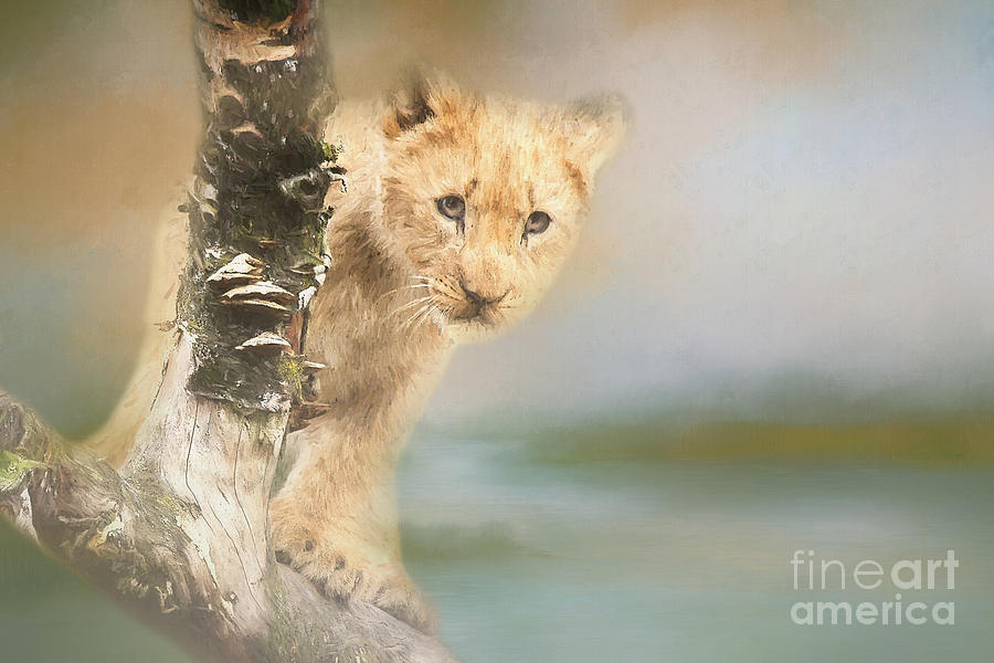 Scared Lion Cub Digital Art by Elisabeth Lucas