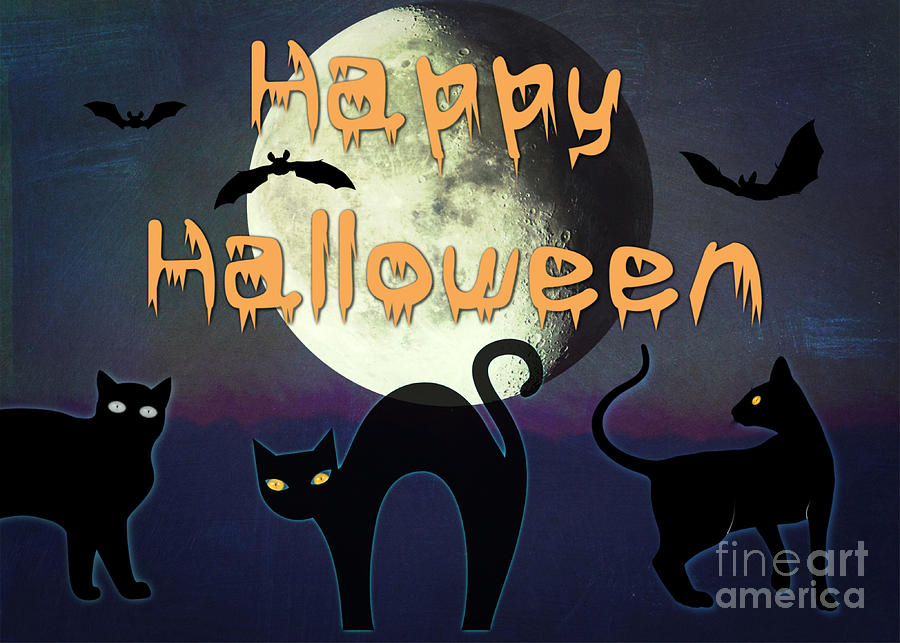 Scaredy Cat Halloween Digital Art