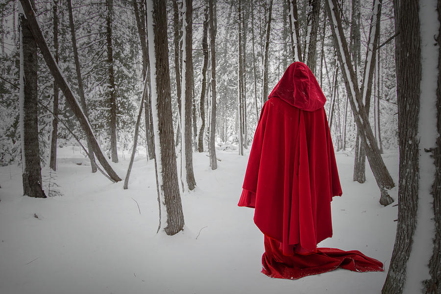 Scarlet Cloak 3 Photograph by Tim Beebe