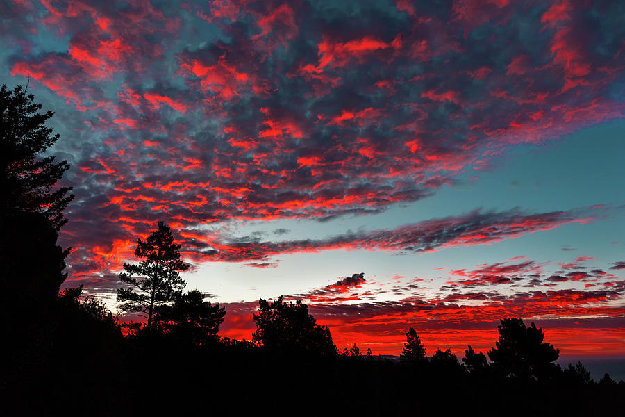Scarlet Daybreak over the Pacific  Photograph by Kathleen Bishop