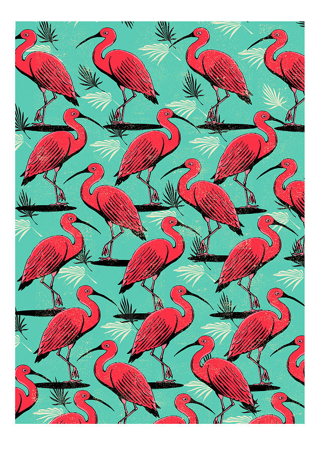Pattern Digital Art - Scarlet Ibis by Jill White