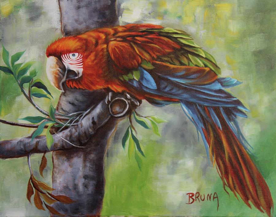 Scarlet Macaw 1 Painting by Bruna CHRISTIAN | Pixels