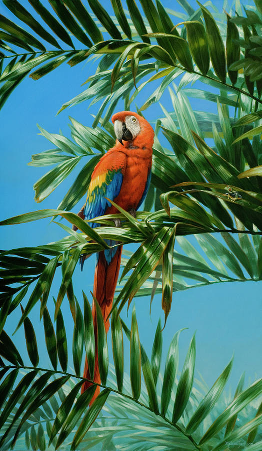 Macaw Photograph - Scarlet Macaw 1 by Michael Jackson