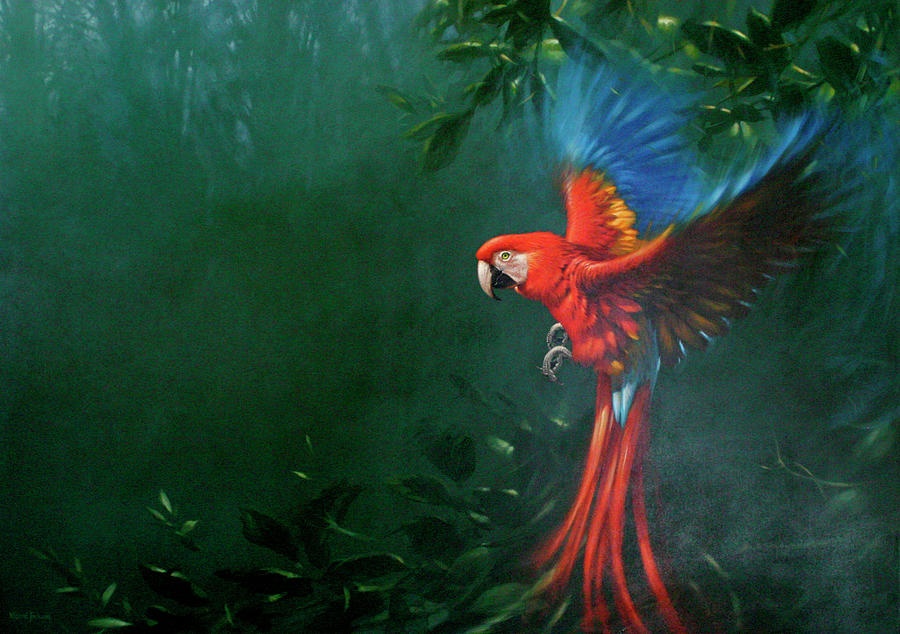 Macaw Photograph - Scarlet Macaw 2 by Michael Jackson
