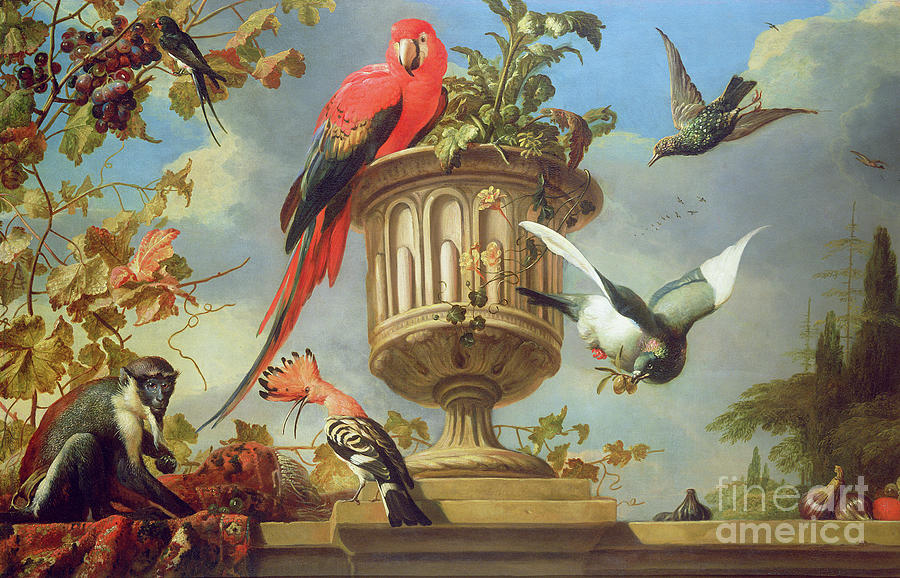 Scarlet Macaw Perched On An Urn, With Other Birds And A Monkey Eating Grapes Painting by Melchior De Hondecoeter