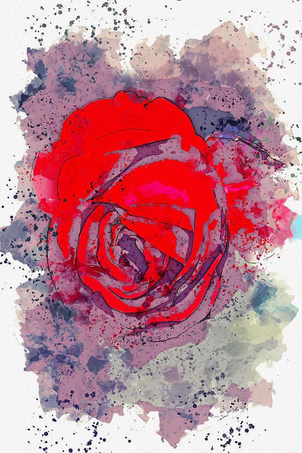 Flower Painting - scarlet rose watercolor by Ahmet Asar by Celestial Images Flower Painting - scarlet rose watercolor by Ahmet Asar by Celestial Images