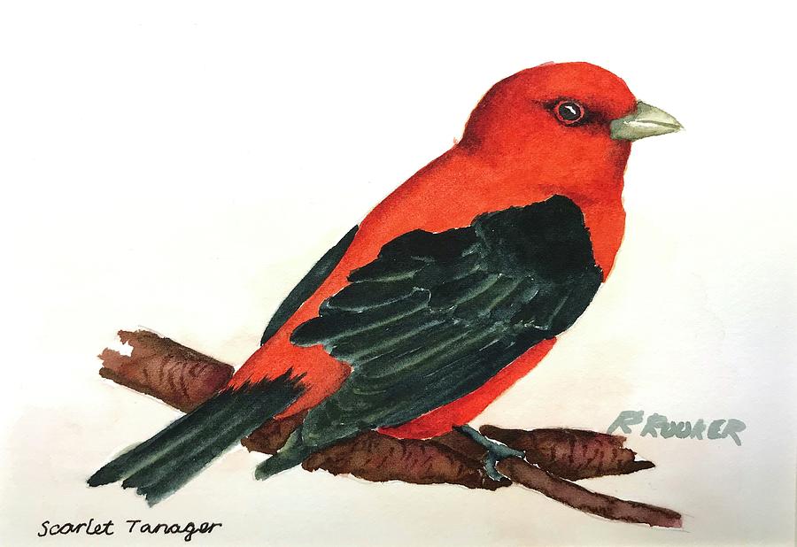Scarlet Tanager Painting by Richard Rooker