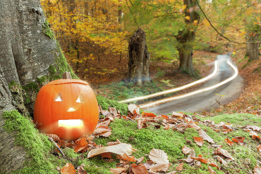 Scary pumpkin in the autum woods Photograph by Simon Bratt