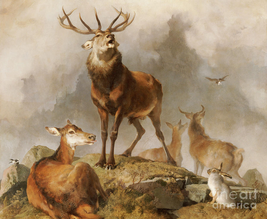 Scene in Braemar Highland Deer Painting by Edwin Landseer