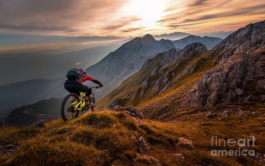 Scenic Alpine Trail Photograph by Sandi Bertoncelj