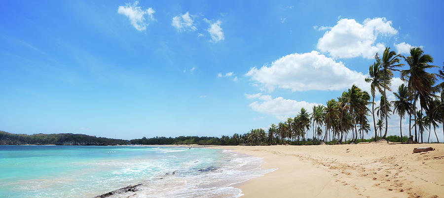 Scenic Beachside Tropical Landscape Photograph by Gerisima