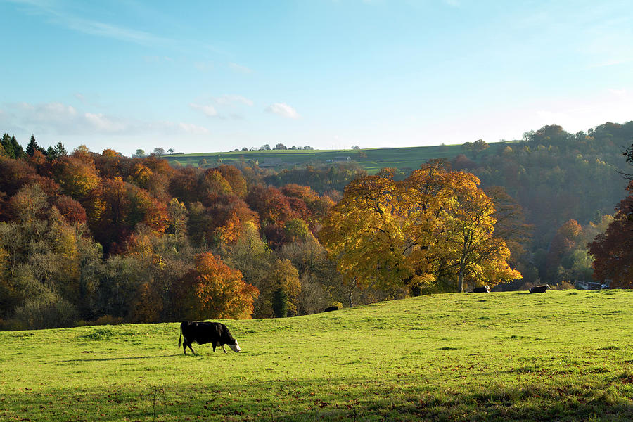 Scenic Cotswolds - Autumn Photograph by Seeables Visual Arts