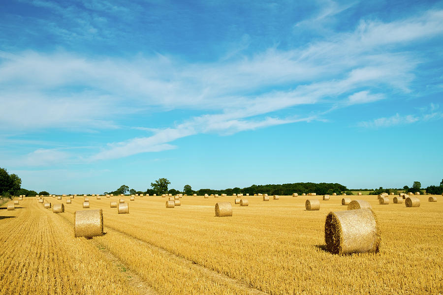 Scenic Cotswolds - Harvest landscape near Tetbury Photograph by Seeables Visual Arts