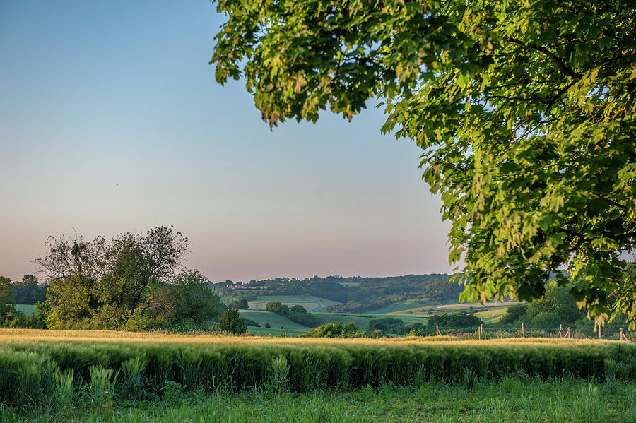 Afternoon Photograph - Scenic Crop Of Barley, Vexin Region by Lisa S. Engelbrecht Afternoon Photograph - Scenic Crop Of Barley, Vexin Region by Lisa S. Engelbrecht