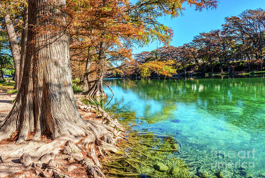 Scenic Frio River Photograph by Bee Creek Photography - Tod and Cynthia