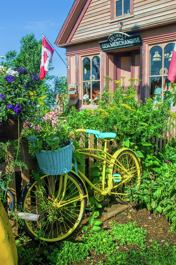 Bicycle Photograph - Scenic garden and antiques store by David Smith