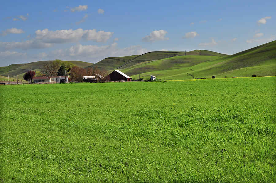 Scenic Green Countryside Photograph by Mitch Diamond Scenic Green Countryside Photograph by Mitch Diamond