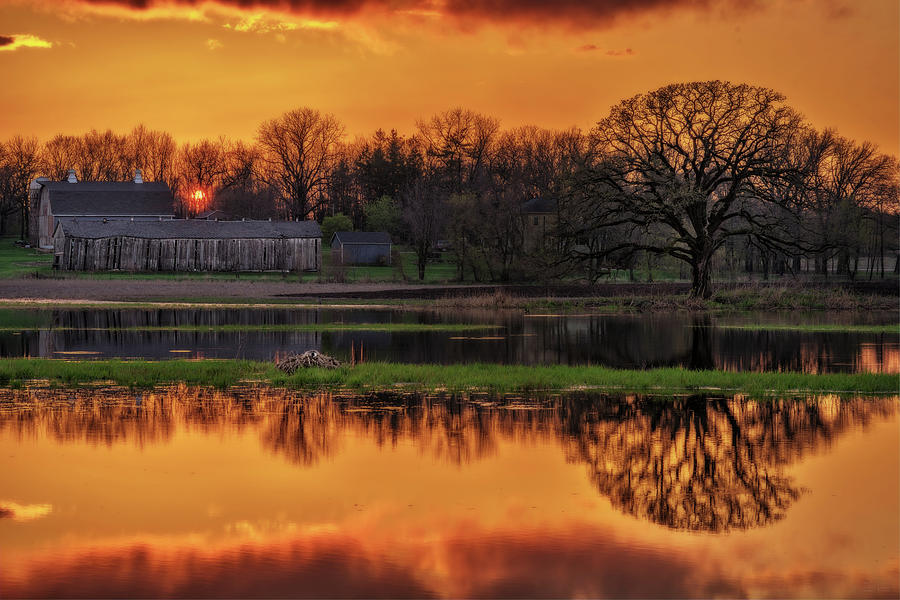 Scenic Pondquility - Spring sunset over a Wisconsin farm scene with pond and nesting goose Photograph by Peter Herman