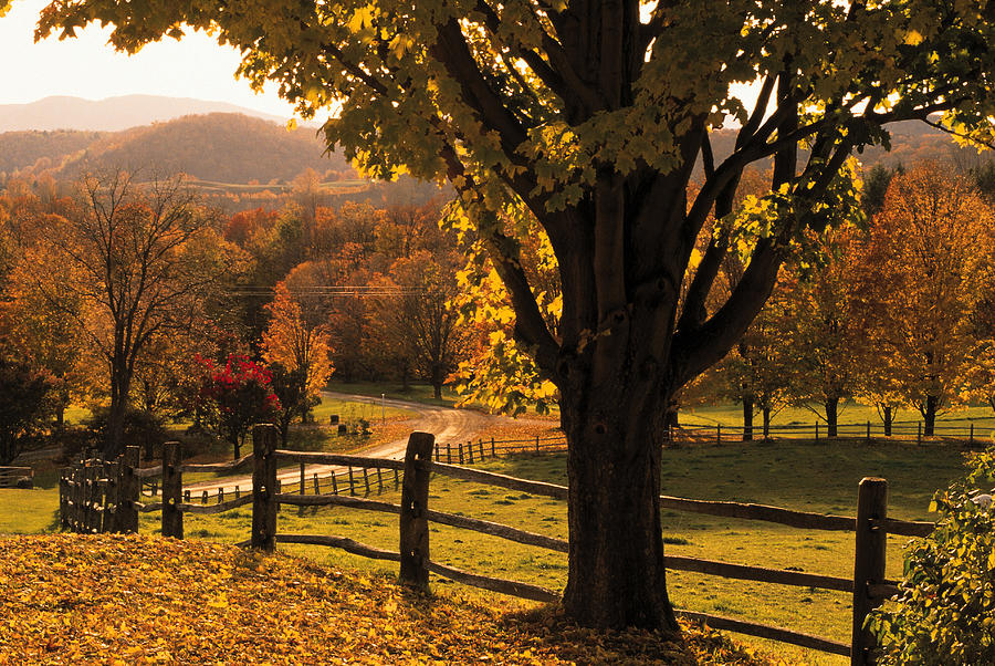 Scenic Ranch In Autumn , Woodstock Photograph by Comstock