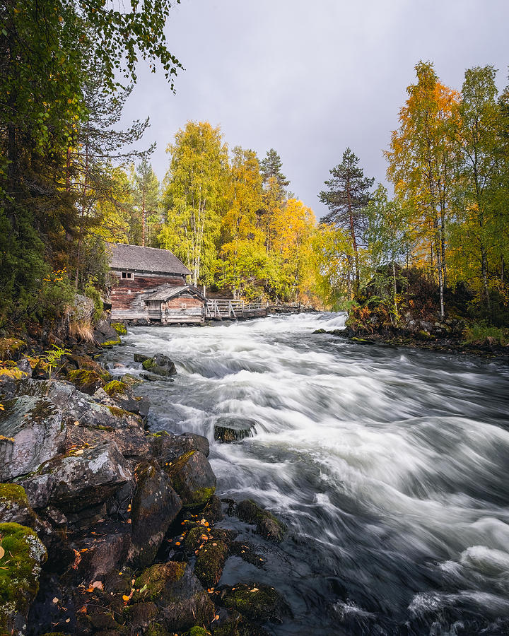 Nature Photograph - Scenic River Landscape With Beautiful by Jani Riekkinen