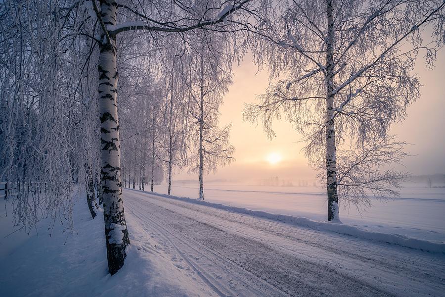 Winter Photograph - Scenic Snow Landscape With Beautiful by Jani Riekkinen