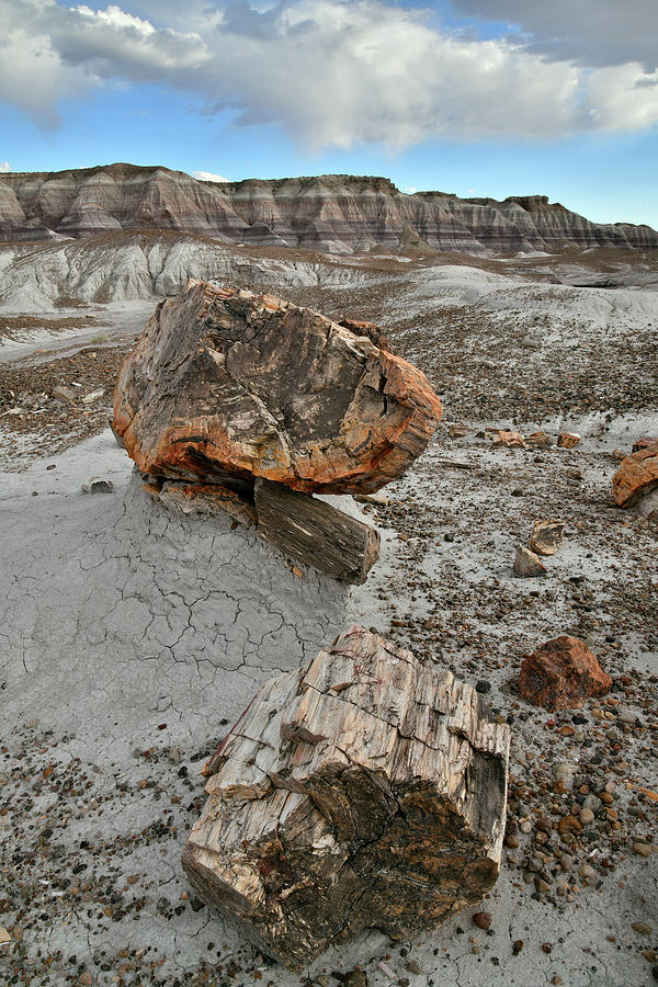 Scenic Trail in Blue Mesa of Petrified Forest Photograph by Ray Mathis