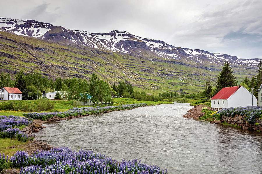 Scenic View From Seydisfjordur Town Iceland Photograph