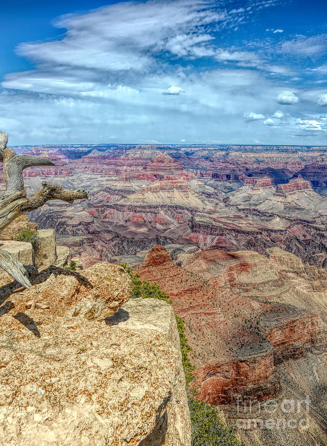 Scenic View Grand Canyon National Park USA Photograph by Chuck Kuhn