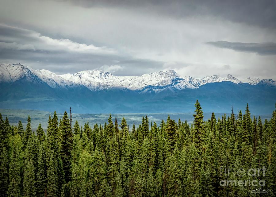 Scenic View In Chitina Alaska Photograph
