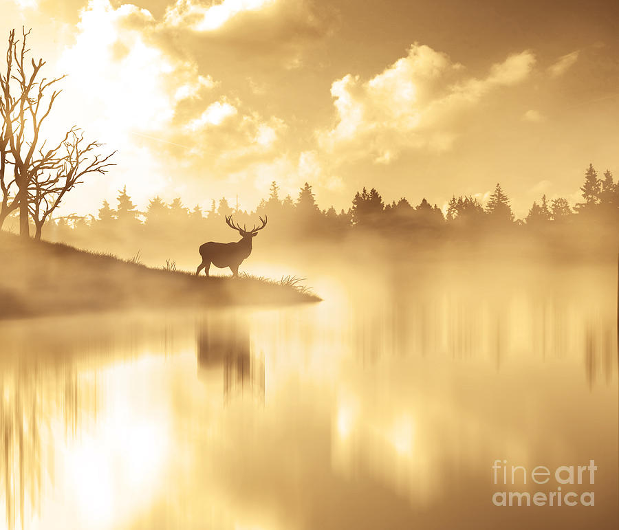 Scenic View Of Silhouette Deer By Lake Photograph by Stijn Dijkstra / Eyeem Scenic View Of Silhouette Deer By Lake Photograph by Stijn Dijkstra / Eyeem