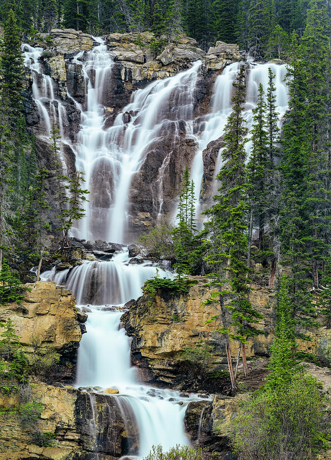 Scenic View Of Tangle Falls, Jasper Photograph by Panoramic Images