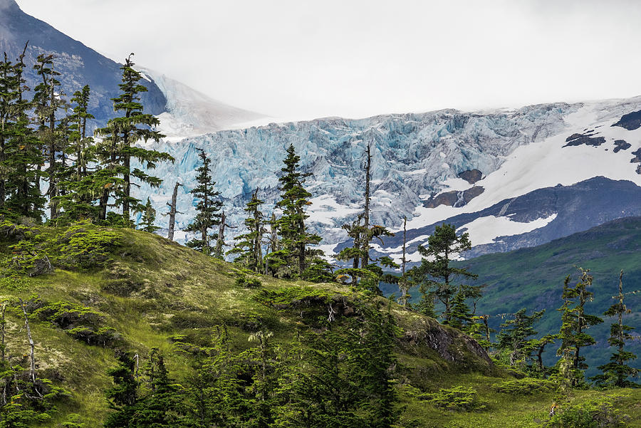 Nature Digital Art - Scenic View, Prince William Sound, Whittier, Alaska, United States, North America by Jouko Van Der Kruijssen
