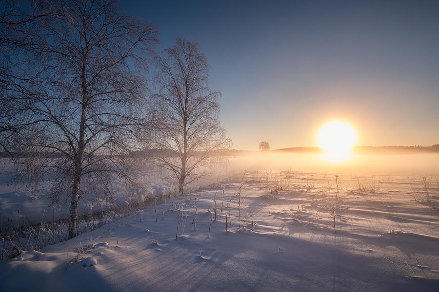 Tree Photograph - Scenic Winter Landscape With Sunrise by Jani Riekkinen