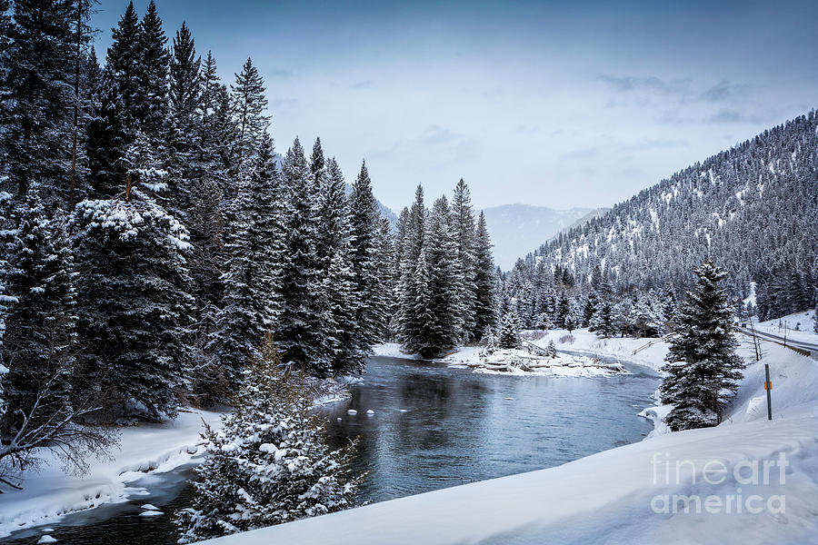 Scenic Yellowstone In Winter Photograph by Timothy Hacker