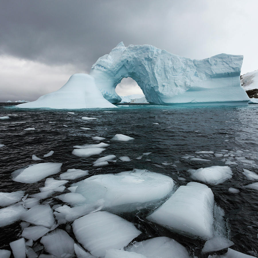 Scenics Of Antarctica Photograph by Henryk Sadura