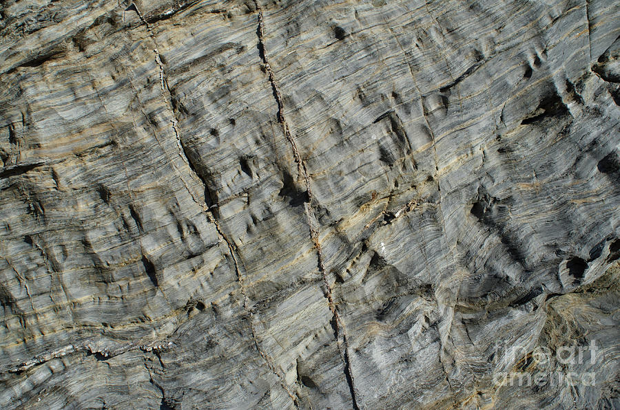 Schist Texture in Porto Covo by Angelo DeVal Schist Texture in Porto Covo by Angelo DeVal