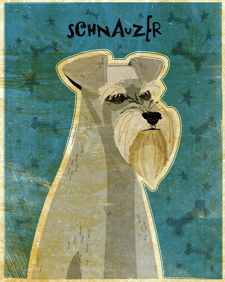 Animal Digital Art - Schnauzer by John W. Golden