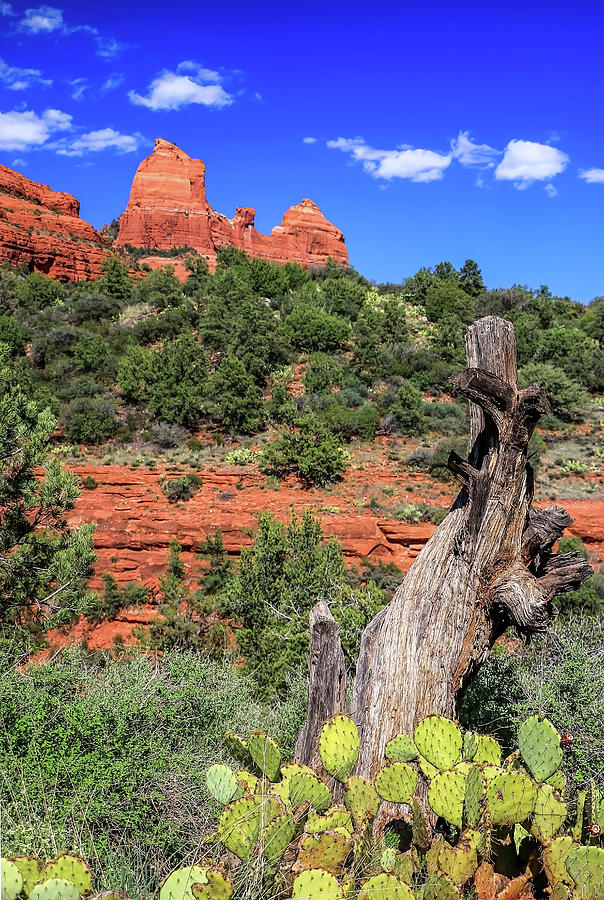 Schnebly Hill View, Sedona Photograph by Dawn Richards