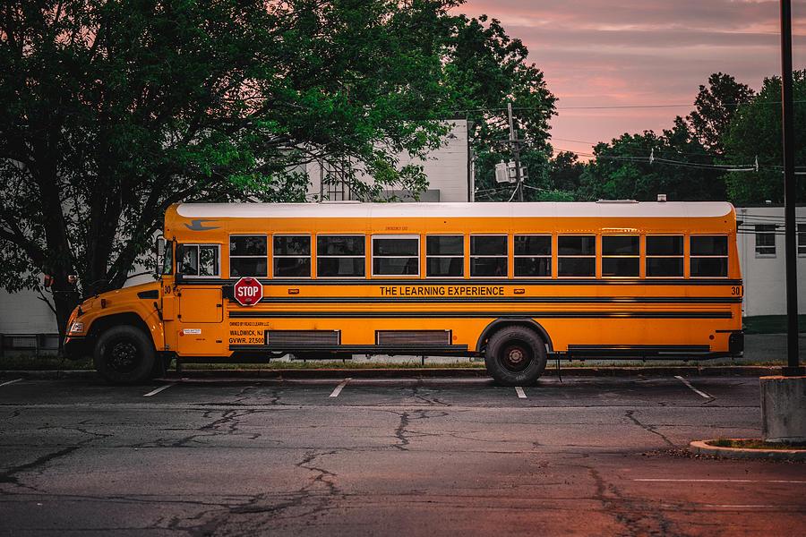 City Photograph - School Bus by Noa Nick