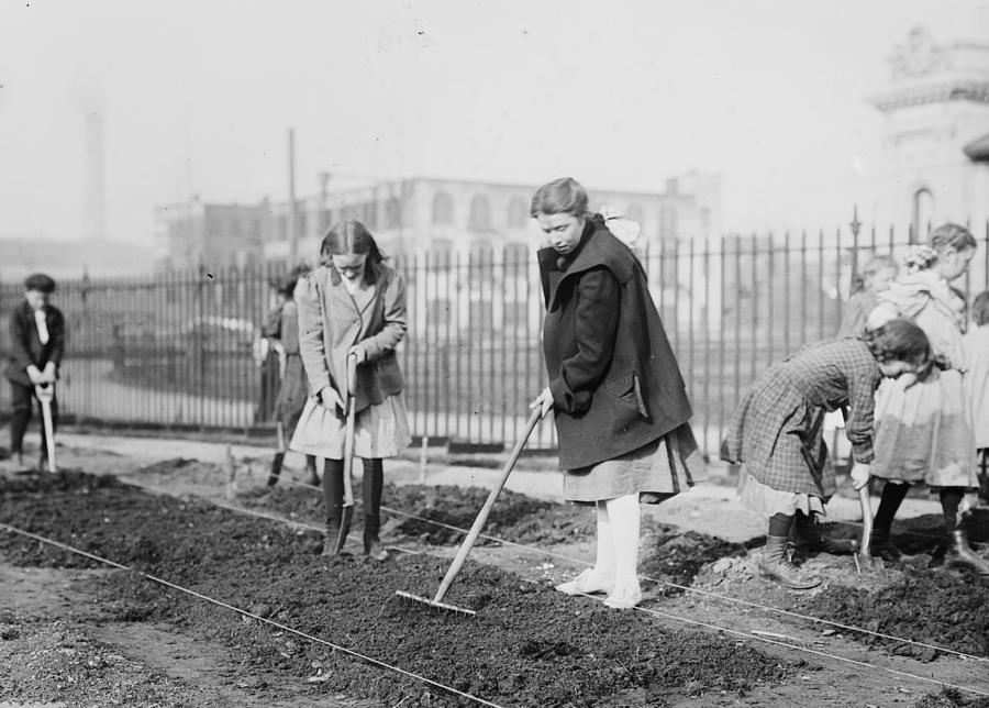 School children outside digging, making garden Painting by Unknown ...