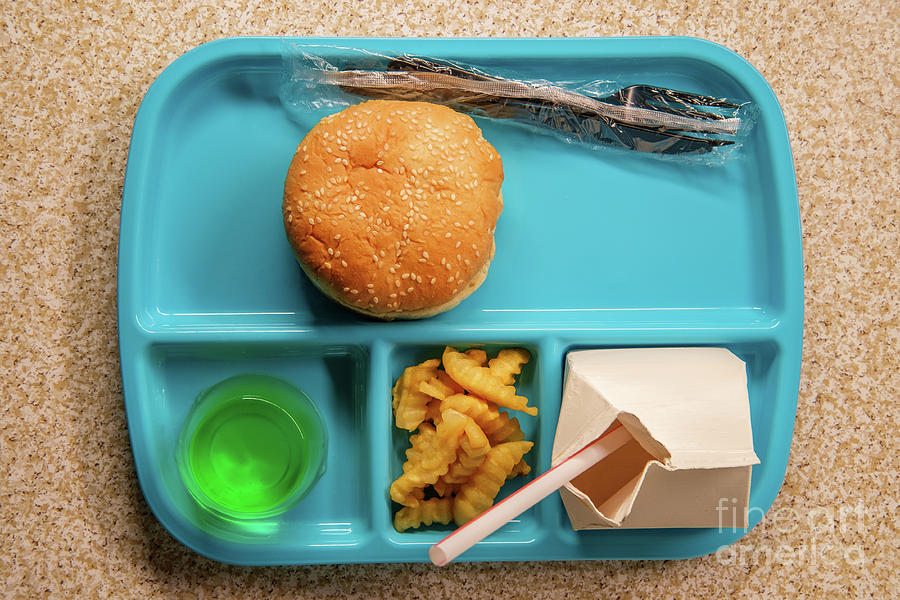 School Lunch Tray Cheeseburger by Ezume Images