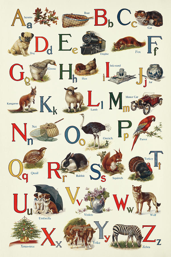 Animal Mixed Media - Schoolhouse Alphabet by Wild Apple Portfolio
