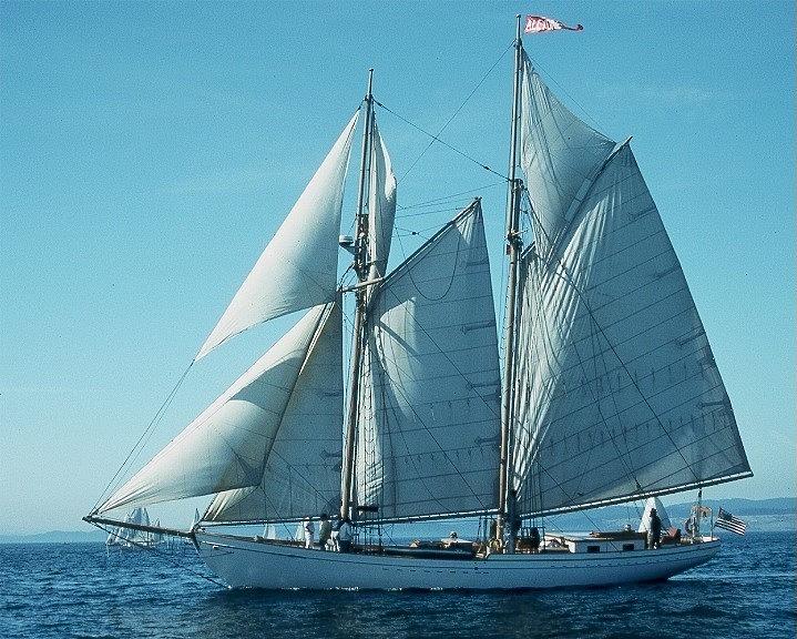 Schooner Alcyone Photograph by Fred Bailey