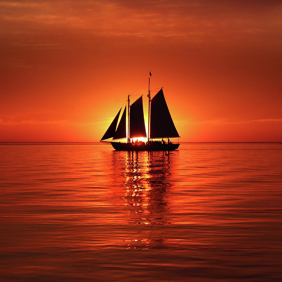 Schooner Eclipses the Sunset Square Photograph by David T Wilkinson