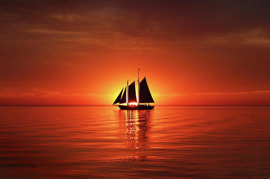 Schooner Eclipses the Sunset Photograph by David T Wilkinson